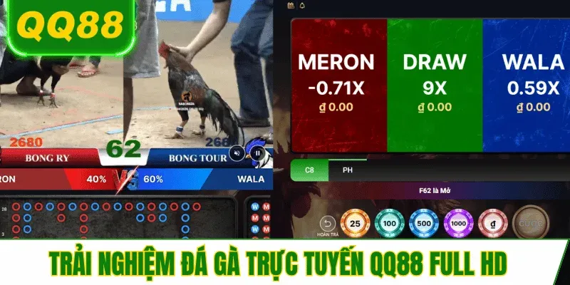 xem-live-da-ga-qq88-truc-tuyen-giai-tri